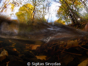 Autumn stream by Sigitas Sirvydas 